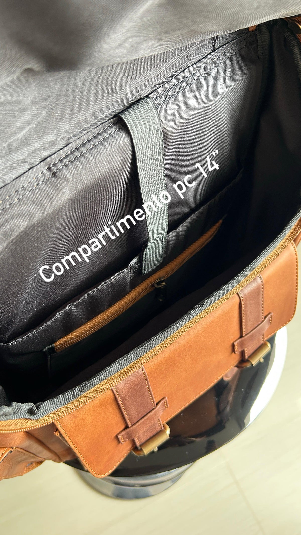 Morral Archeology CUERO Bovino