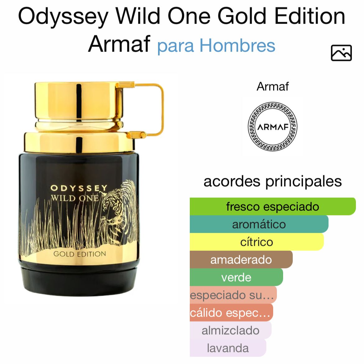 Perfume Odyssey Wild One Gold Armaf