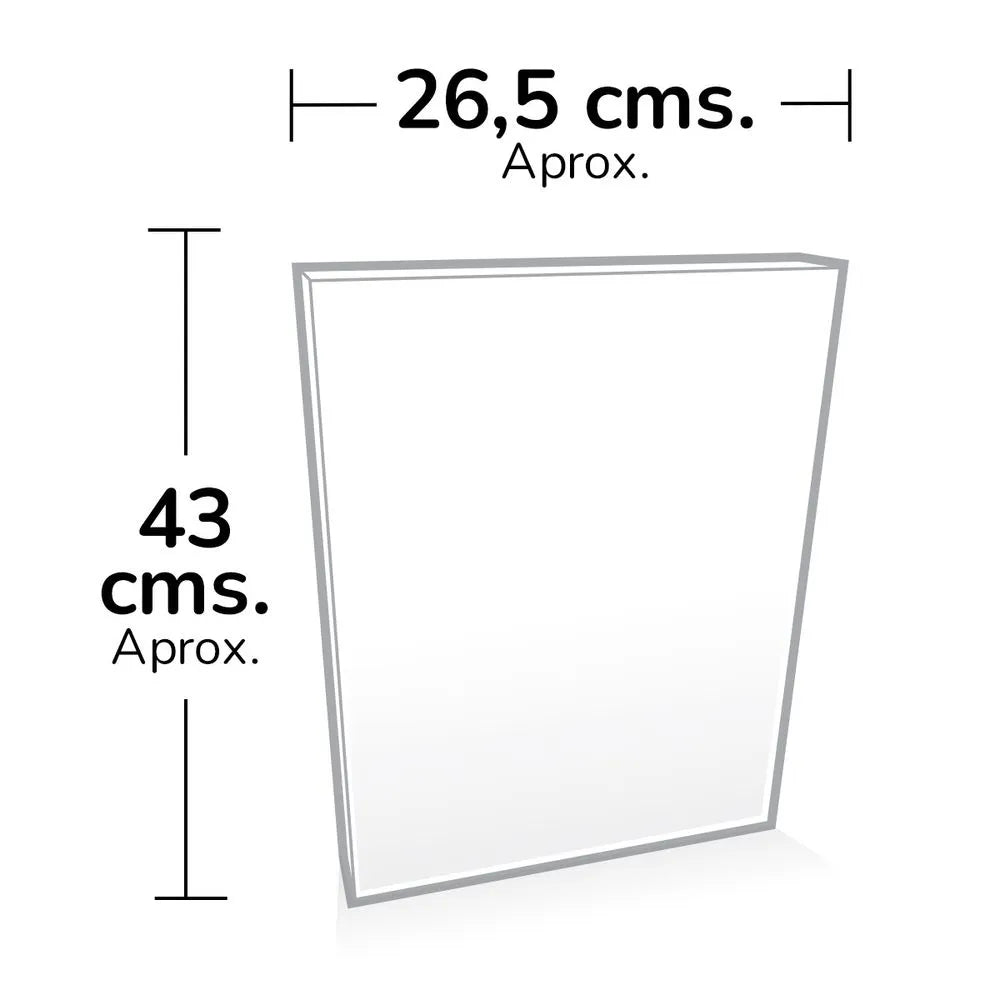 Agenda Planeador Snoopy